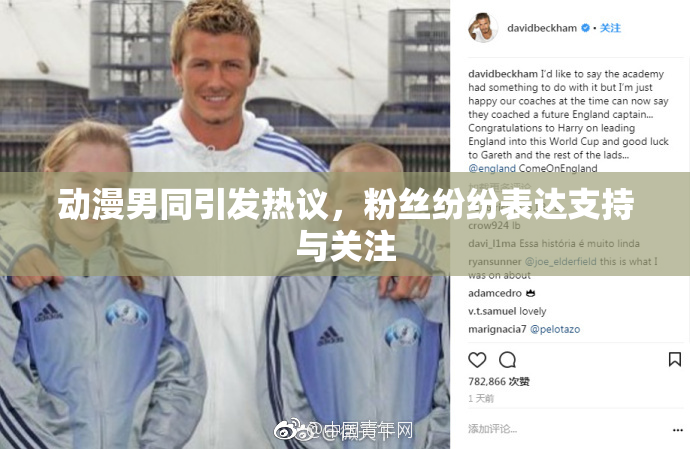 动漫男同引发热议，粉丝纷纷表达支持与关注