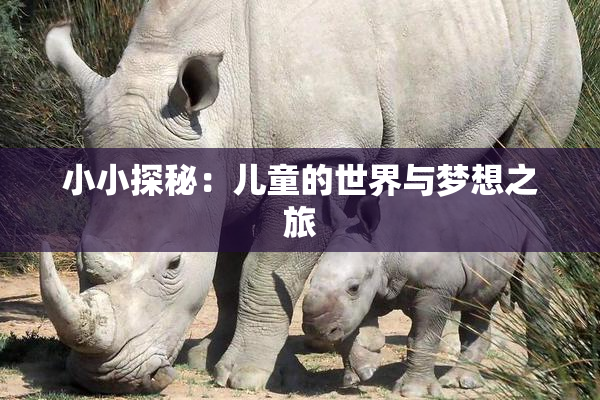 小小探秘：儿童的世界与梦想之旅