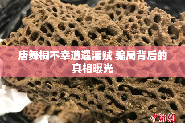 唐舞桐不幸遭遇淫贼 骗局背后的真相曝光
