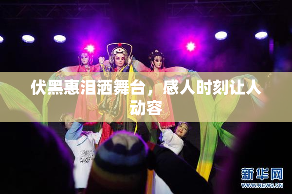伏黑惠泪洒舞台，感人时刻让人动容