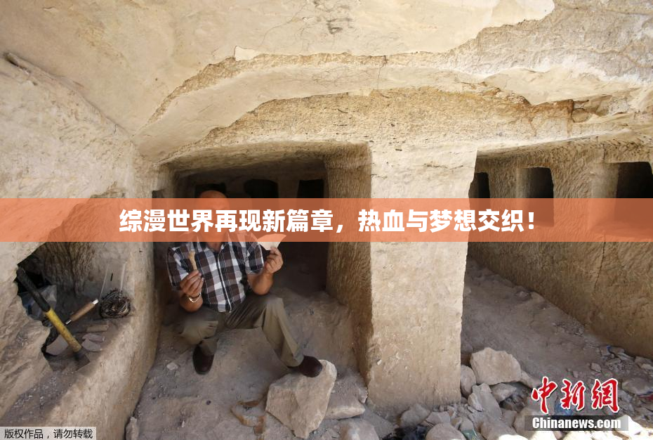 综漫世界再现新篇章，热血与梦想交织！