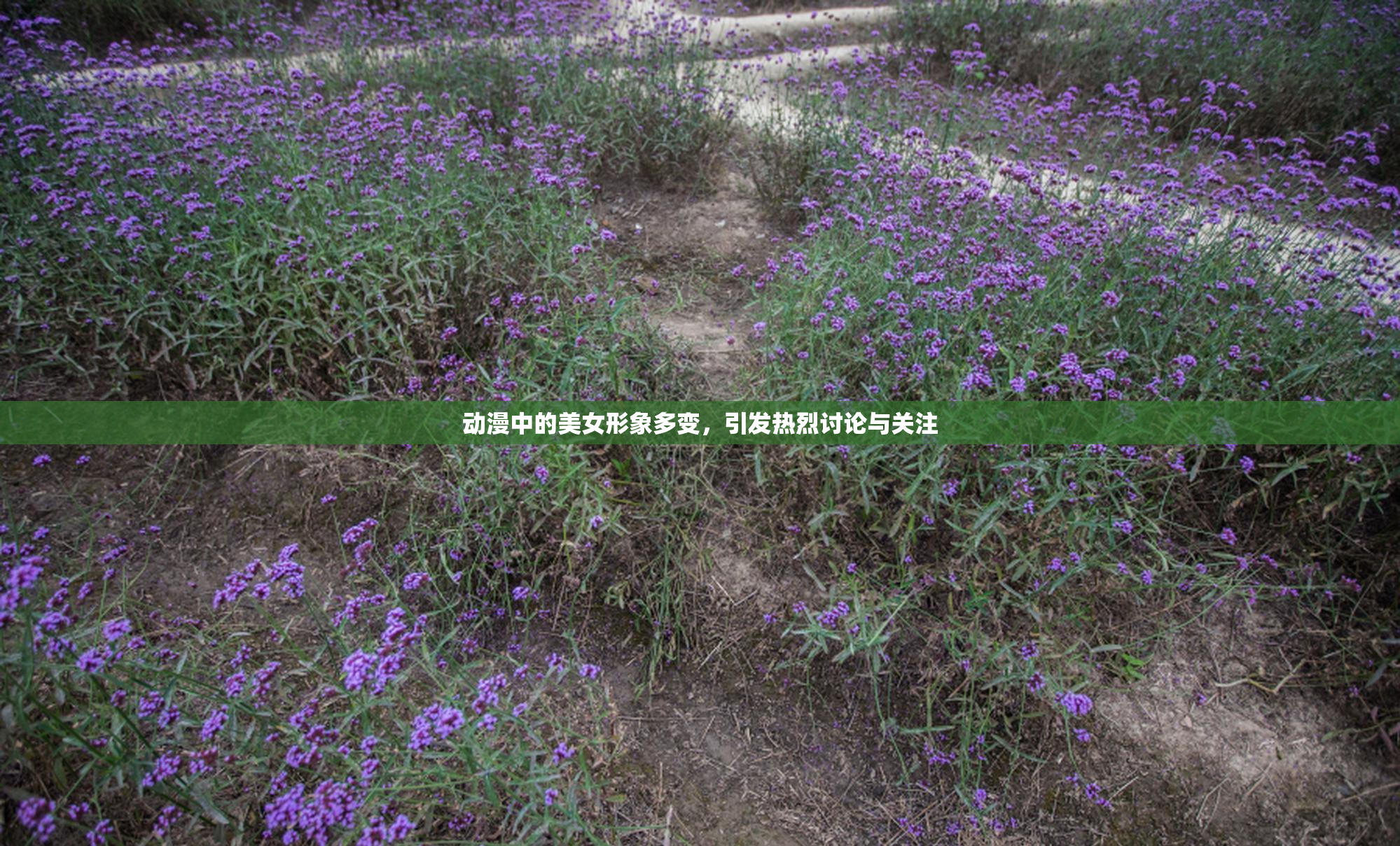 动漫中的美女形象多变，引发热烈讨论与关注