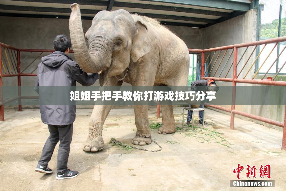 姐姐手把手教你打游戏技巧分享
