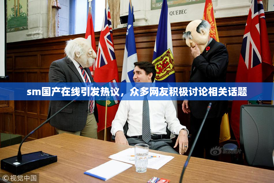 sm国产在线引发热议，众多网友积极讨论相关话题