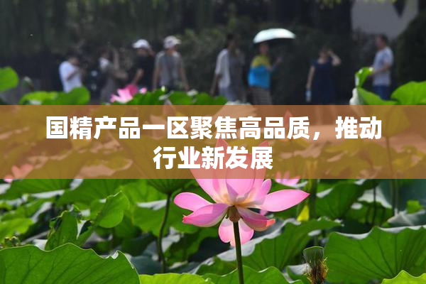 国精产品一区聚焦高品质，推动行业新发展