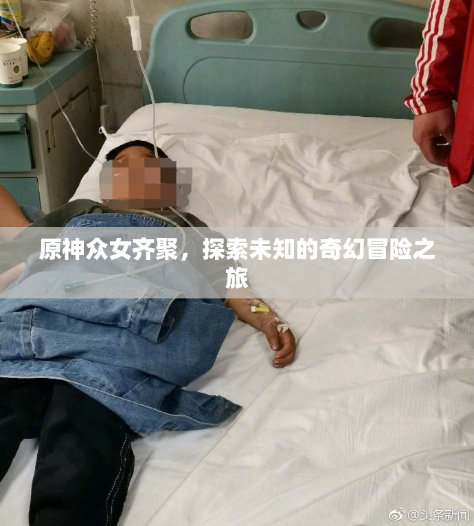 原神众女齐聚，探索未知的奇幻冒险之旅