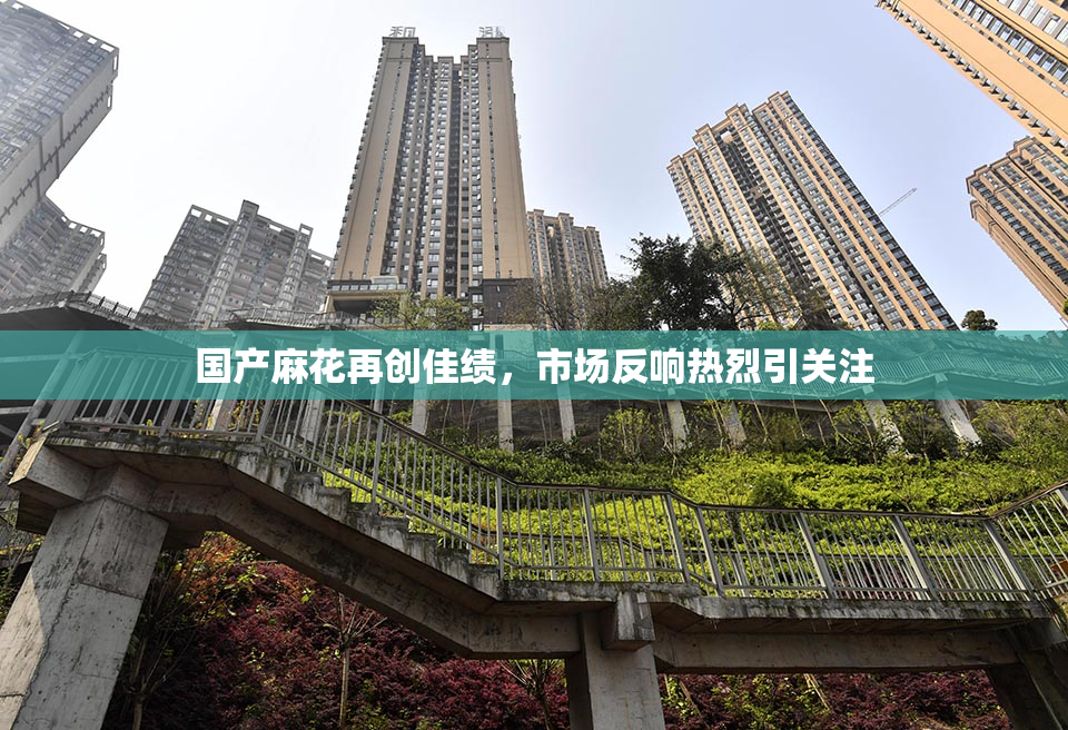 国产麻花再创佳绩，市场反响热烈引关注