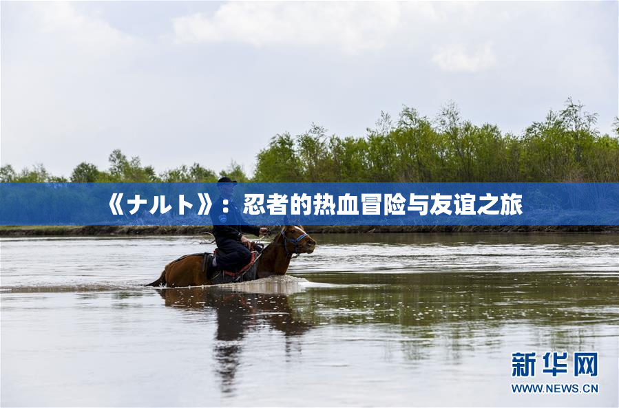 《ナルト》：忍者的热血冒险与友谊之旅