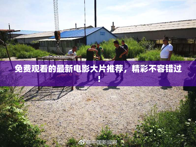 免费观看的最新电影大片推荐，精彩不容错过！
