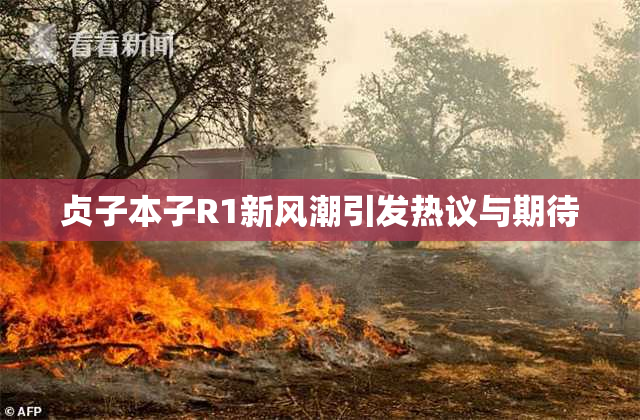 贞子本子R1新风潮引发热议与期待