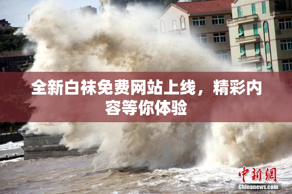 全新白袜免费网站上线，精彩内容等你体验