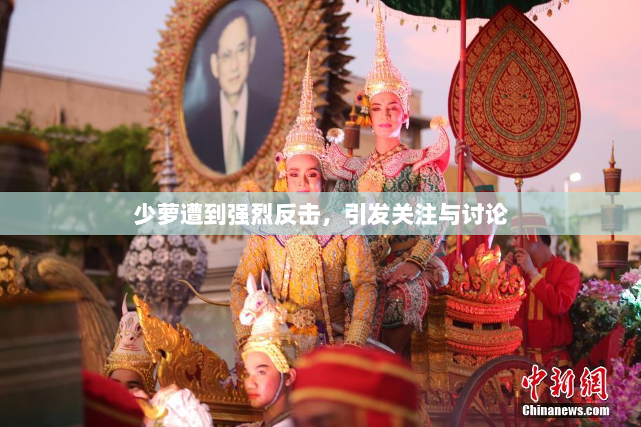 少萝遭到强烈反击，引发关注与讨论