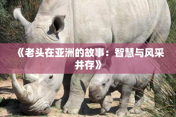 《老头在亚洲的故事：智慧与风采并存》