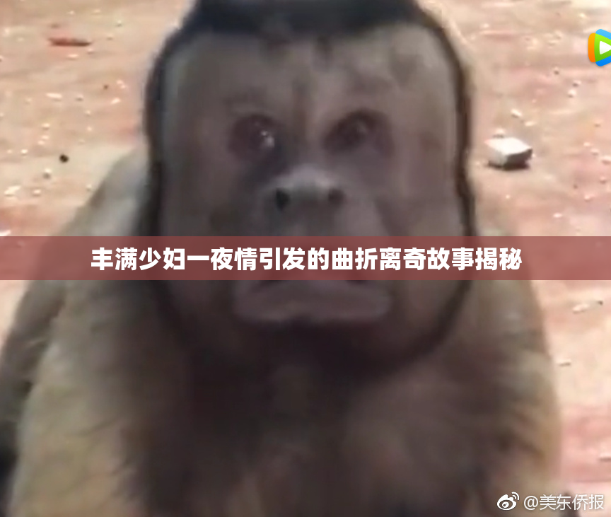丰满少妇一夜情引发的曲折离奇故事揭秘