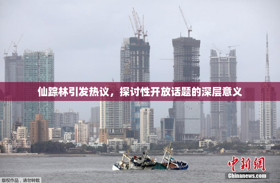 仙踪林引发热议，探讨性开放话题的深层意义