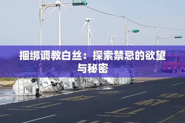 捆绑调教白丝：探索禁忌的欲望与秘密