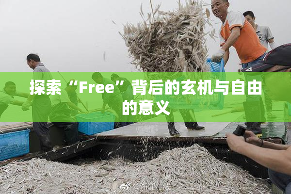 探索“Free”背后的玄机与自由的意义