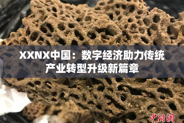 XXNX中国：数字经济助力传统产业转型升级新篇章