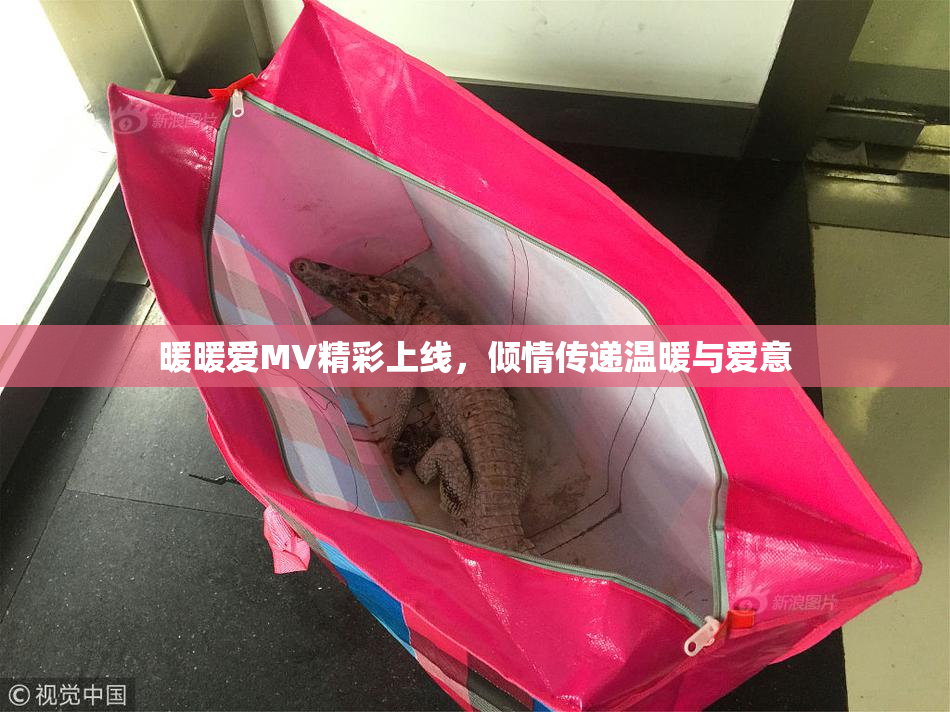 暖暖爱MV精彩上线，倾情传递温暖与爱意