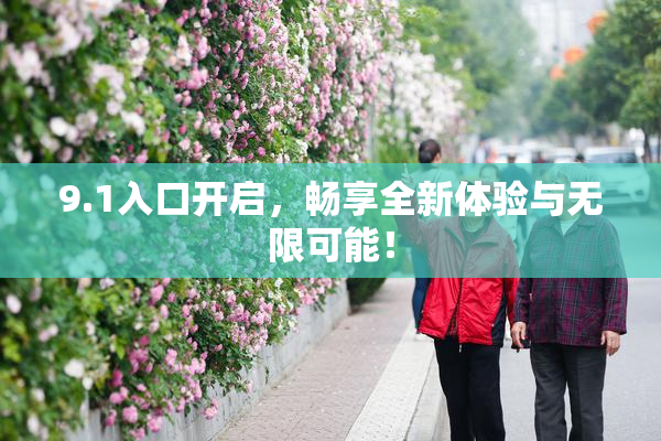 9.1入口开启，畅享全新体验与无限可能！