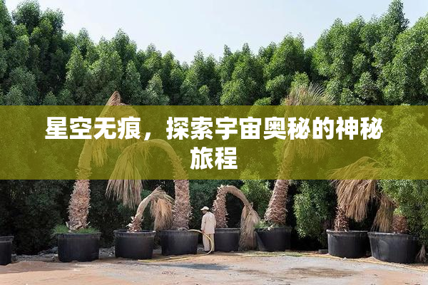 星空无痕，探索宇宙奥秘的神秘旅程