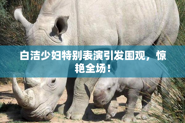 白洁少妇特别表演引发围观，惊艳全场！
