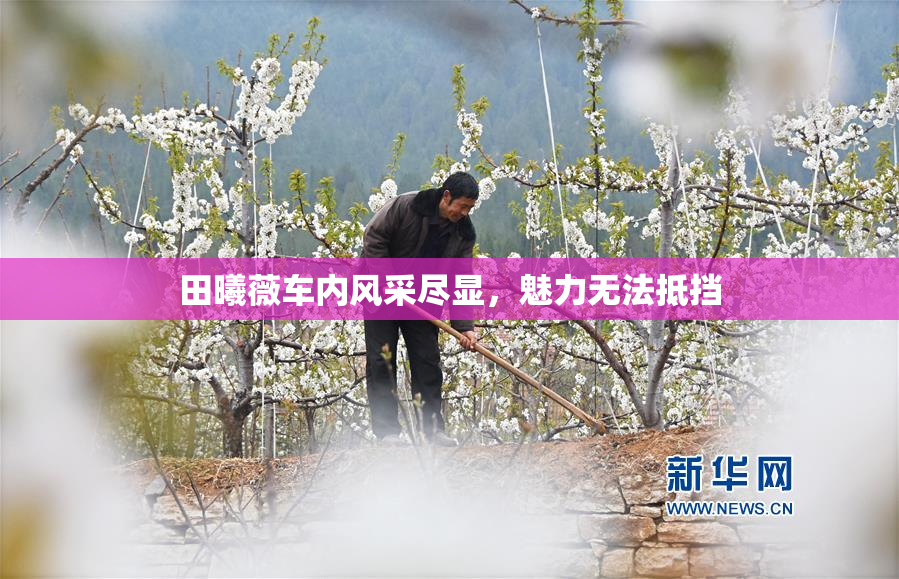 田曦薇车内风采尽显，魅力无法抵挡