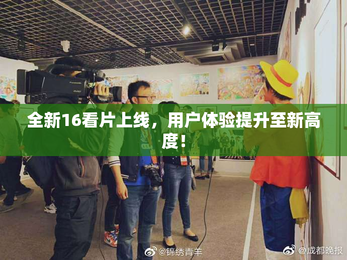 全新16看片上线，用户体验提升至新高度！