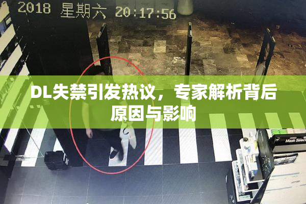 DL失禁引发热议，专家解析背后原因与影响
