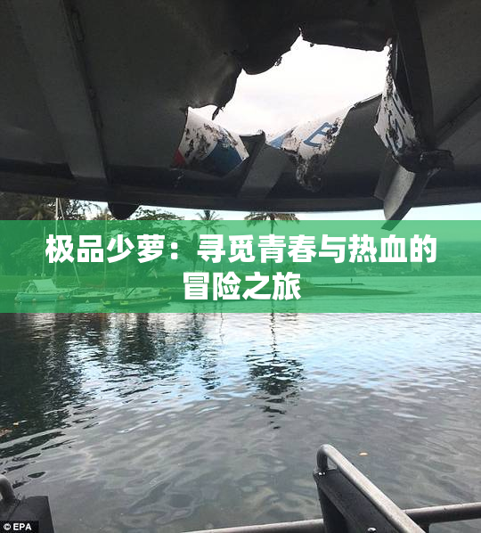 极品少萝：寻觅青春与热血的冒险之旅