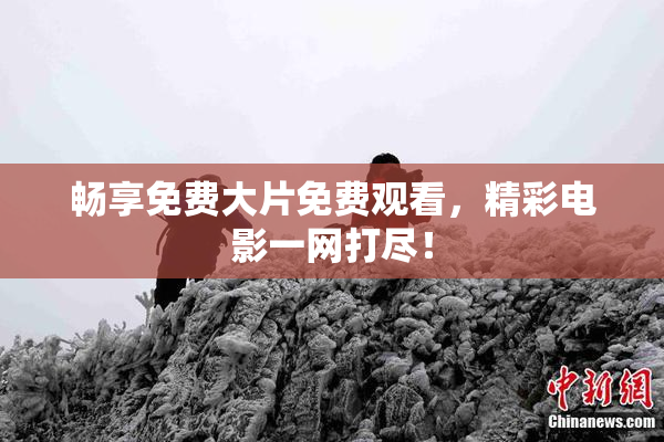 畅享免费大片免费观看，精彩电影一网打尽！