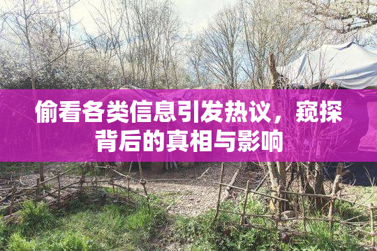 偷看各类信息引发热议，窥探背后的真相与影响