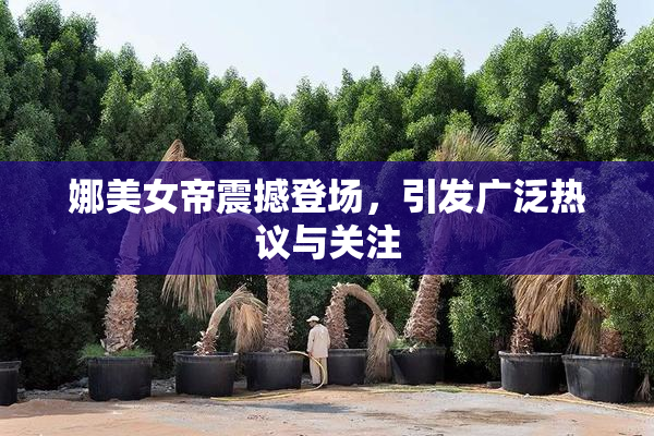 娜美女帝震撼登场，引发广泛热议与关注