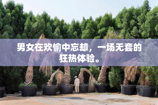 男女在欢愉中忘却，一场无套的狂热体验。