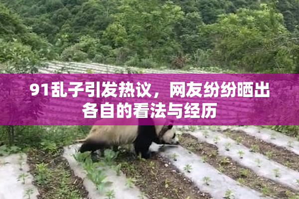 91乱子引发热议，网友纷纷晒出各自的看法与经历