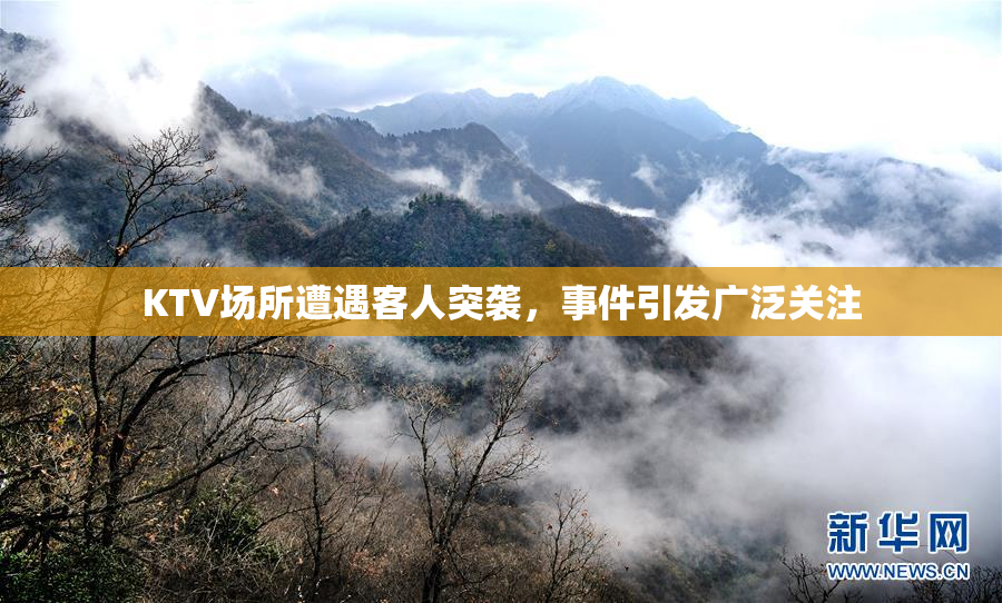 KTV场所遭遇客人突袭，事件引发广泛关注