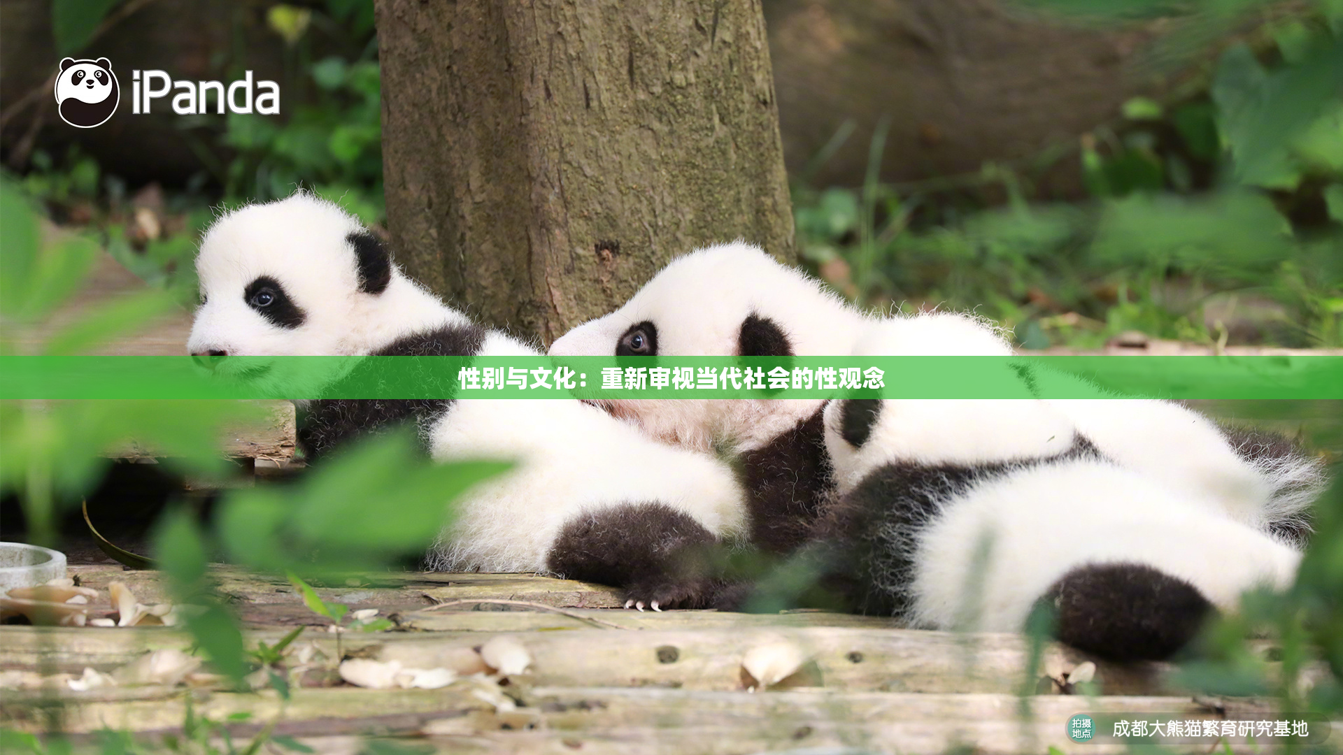 性别与文化：重新审视当代社会的性观念