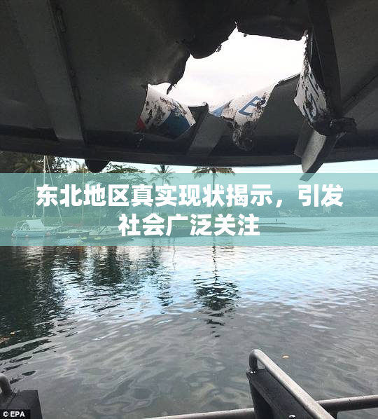 东北地区真实现状揭示，引发社会广泛关注