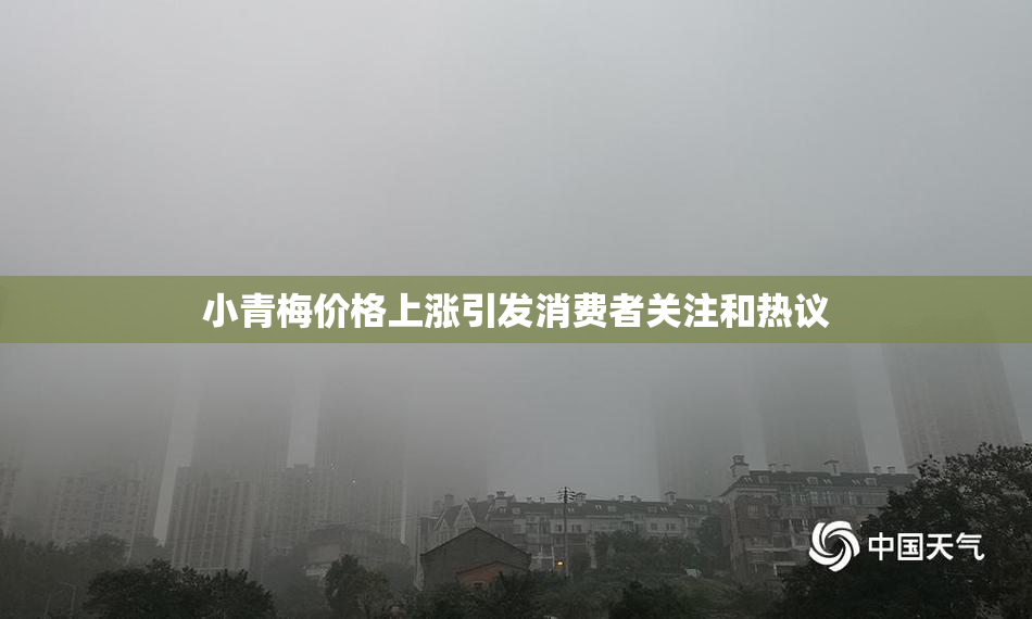 小青梅价格上涨引发消费者关注和热议