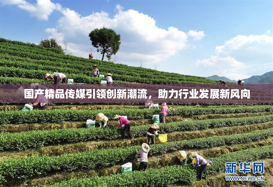 国产精品传媒引领创新潮流，助力行业发展新风向