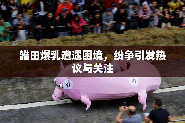 雏田爆乳遭遇困境，纷争引发热议与关注