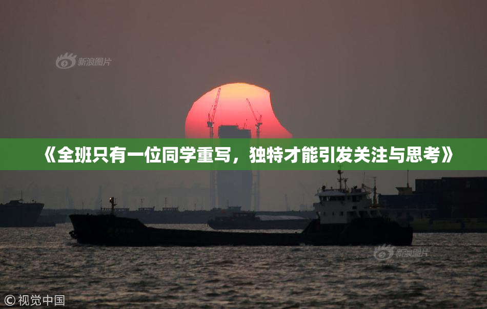 《全班只有一位同学重写，独特才能引发关注与思考》