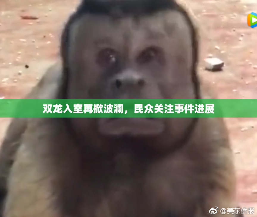 双龙入室再掀波澜，民众关注事件进展