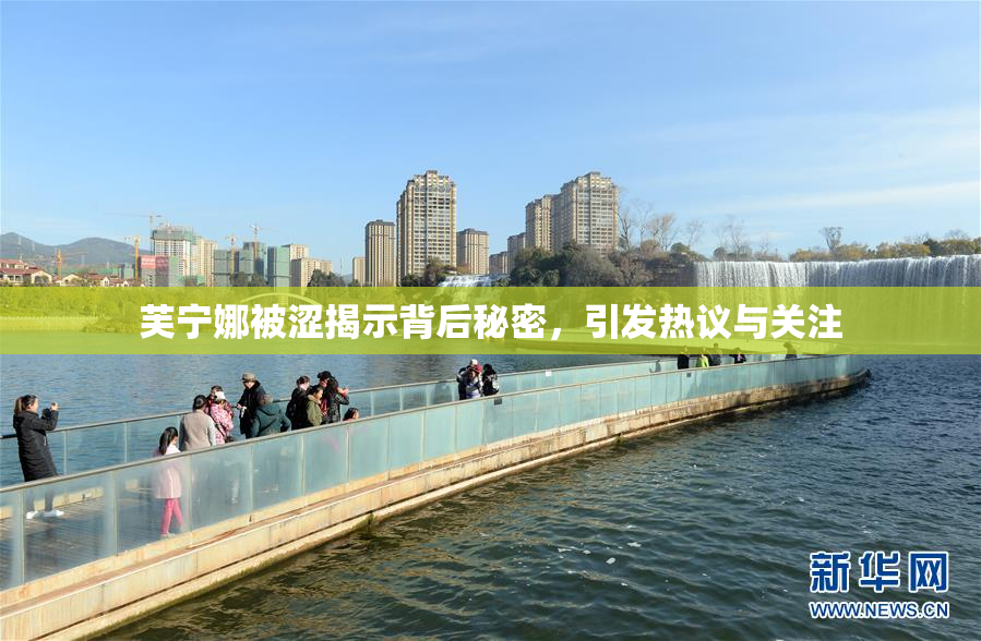芙宁娜被涩揭示背后秘密，引发热议与关注