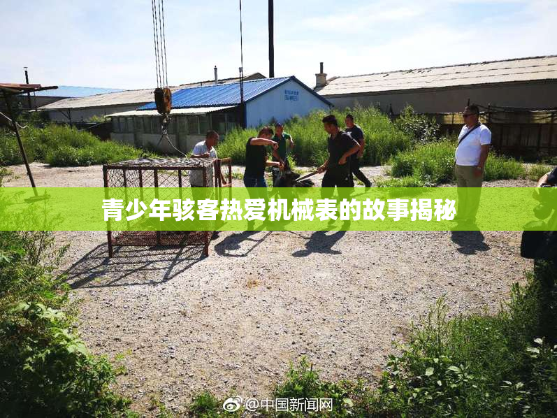 青少年骇客热爱机械表的故事揭秘