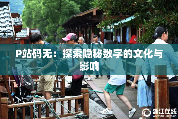 P站码无：探索隐秘数字的文化与影响