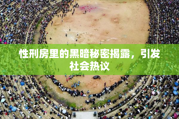 性刑房里的黑暗秘密揭露，引发社会热议