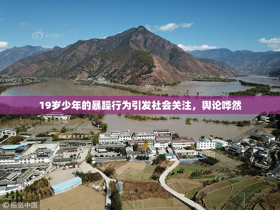 19岁少年的暴躁行为引发社会关注，舆论哗然