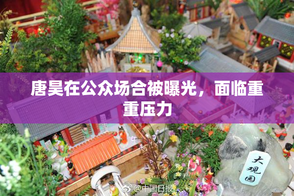 唐昊在公众场合被曝光，面临重重压力
