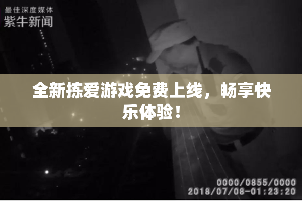 全新拣爱游戏免费上线，畅享快乐体验！